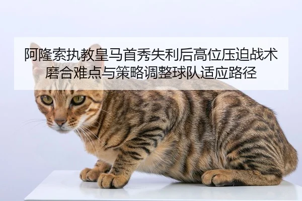 阿隆索执教皇马首秀失利后高位压迫战术磨合难点与策略调整球队适应路径