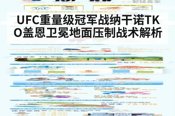UFC重量级冠军战纳干诺TKO盖恩卫冕地面压制战术解析