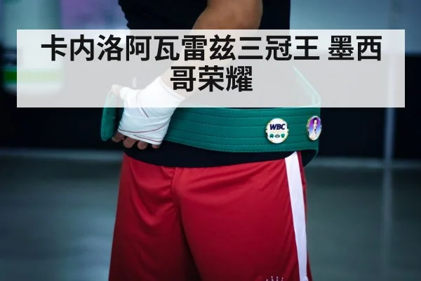 卡内洛阿瓦雷兹三冠王 墨西哥荣耀